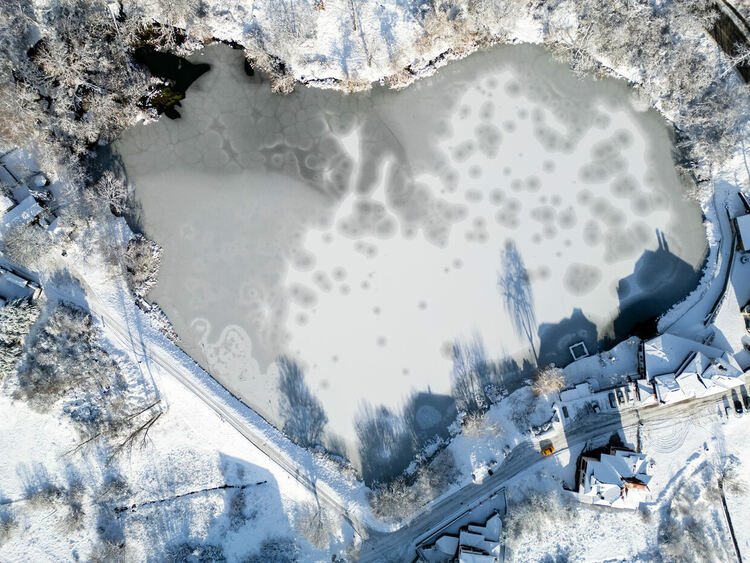 Наградиха победителите в конкурсите, организирани от РИОСВ-Хасково за Деня на водата