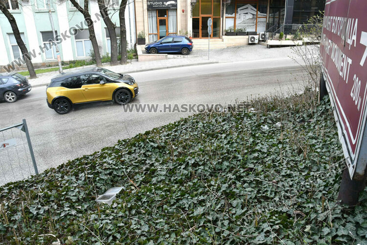 Хасковлии: Вода изби от подпорна стена и потече по бул. &bdquo;Освобождение&ldquo;