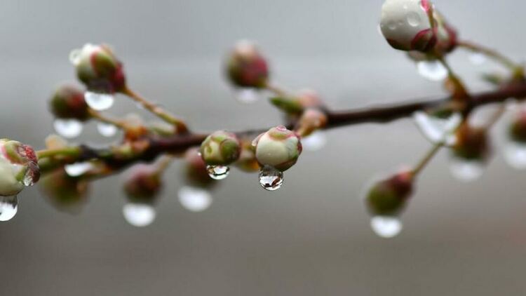 Облаци и слаби валежи в неделя