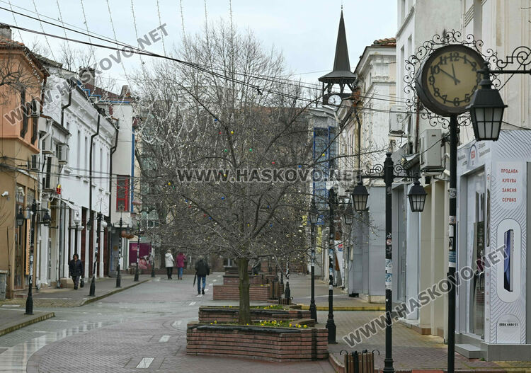 Настроение и красота с цъфналите магнолии в Хасково 