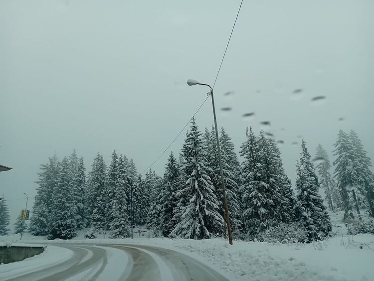 Сняг вали по високите части в Смолянско, снежната покривка е до 5 см