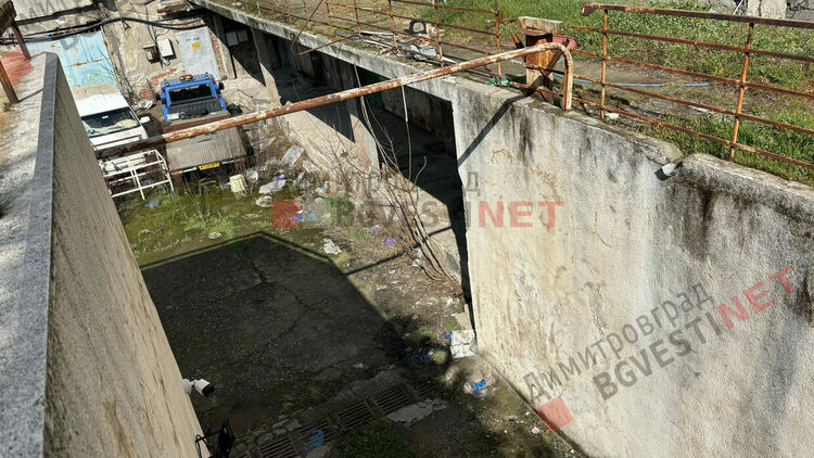 В Димитровград е разкрит склад с над 7 тона негодни за консумация храни, по думите на директора на БАБХ