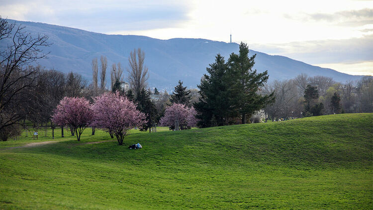 Предимно облачно ще бъде времето в неделя 