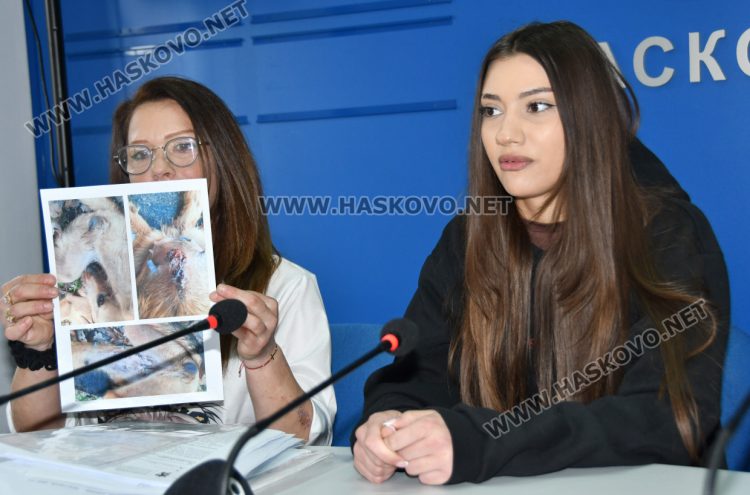 Зоодоброволци от Хасково алармираха за уж кастрирани кучета, които са родили 