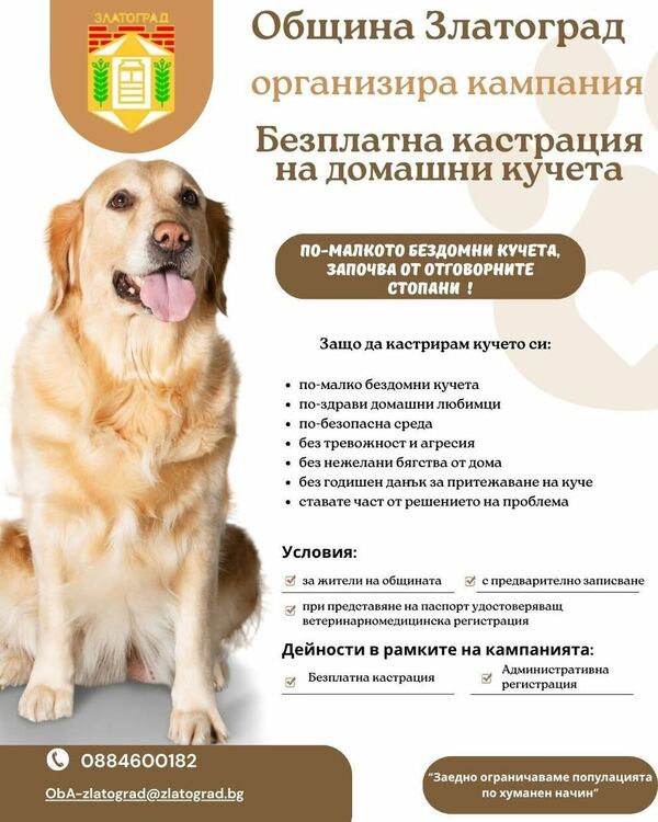 Община Златоград стартира кампания за безплатна кастрация на домашни кучета