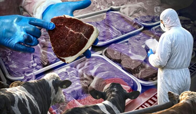 Шап за износ: Русия коли добитък и продава замърсено месо по света