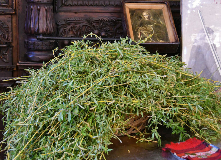 Стотици миряни посетиха църквите на Цветница в Хасково