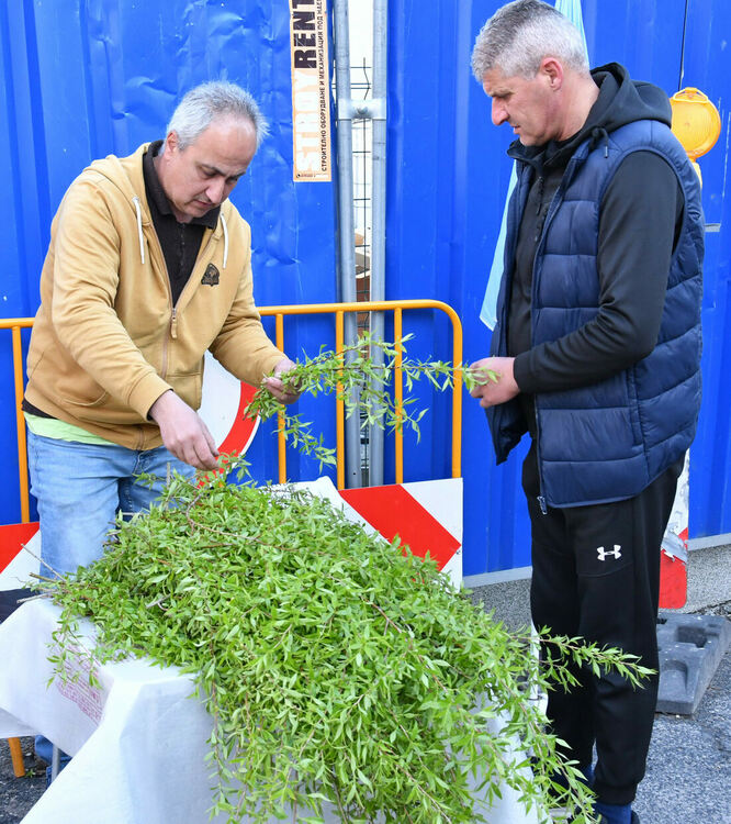 Стотици миряни посетиха църквите на Цветница в Хасково