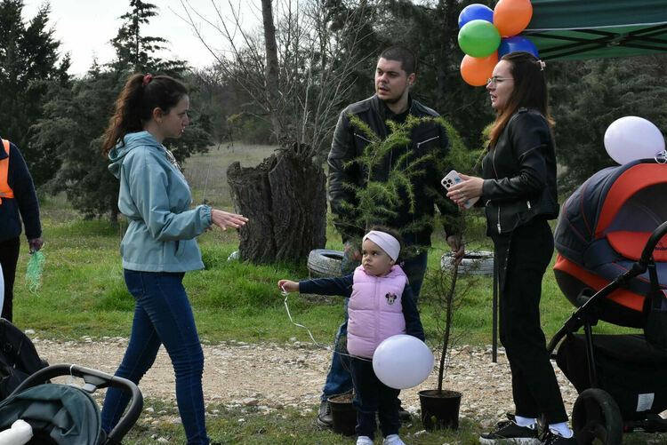 "Алеята на живота" в Димитровград се обогати с още 81 дръвчета