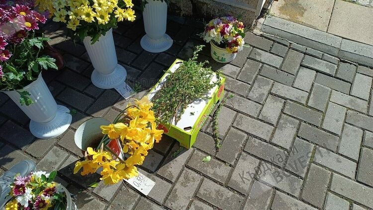 Цветница е! Опашки пред храмовете в Кърджали за освещаване на върбови клонки/снимки/