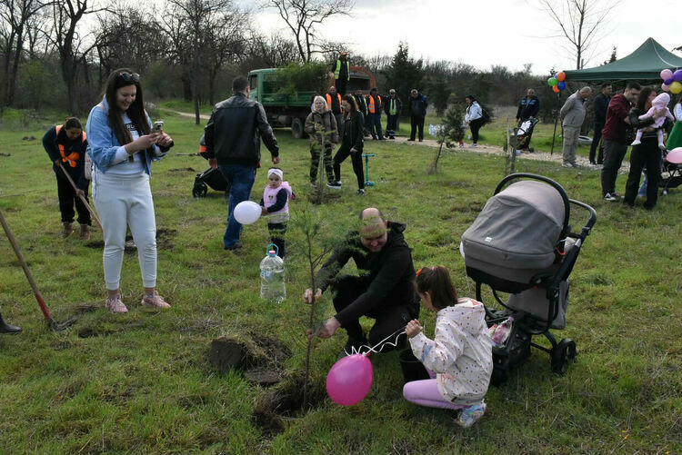 "Алеята на живота" в Димитровград се обогати с още 81 дръвчета