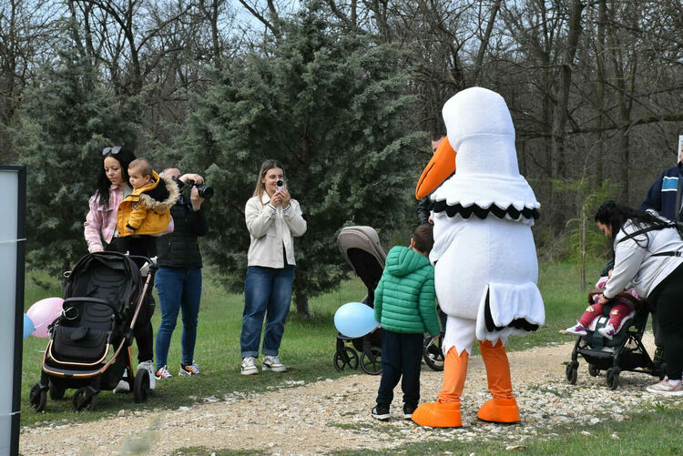 "Алеята на живота" в Димитровград се обогати с още 81 дръвчета