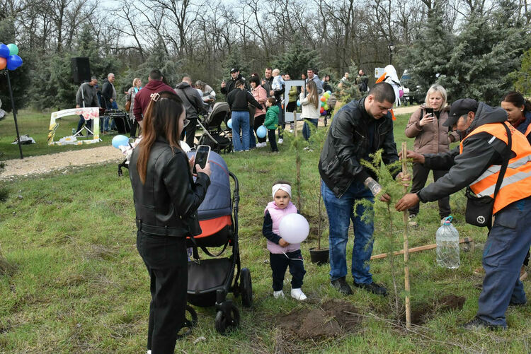 "Алеята на живота" в Димитровград се обогати с още 81 дръвчета