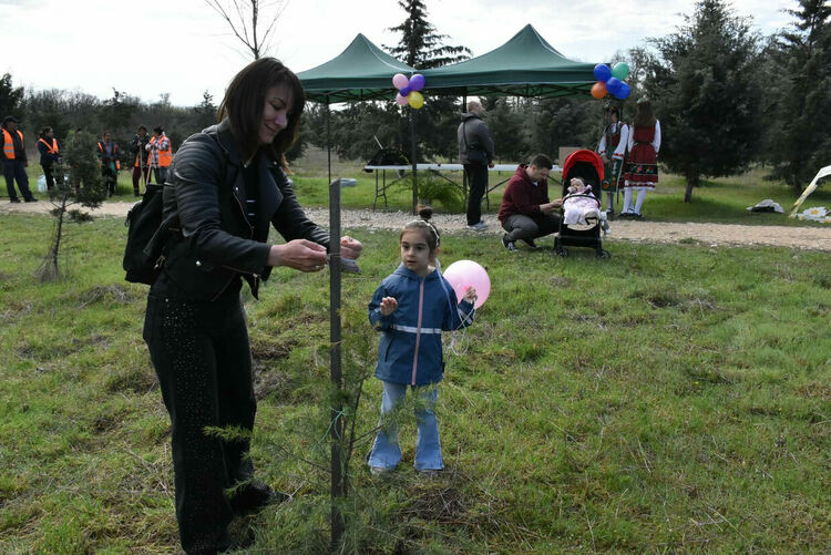 "Алеята на живота" в Димитровград се обогати с още 81 дръвчета