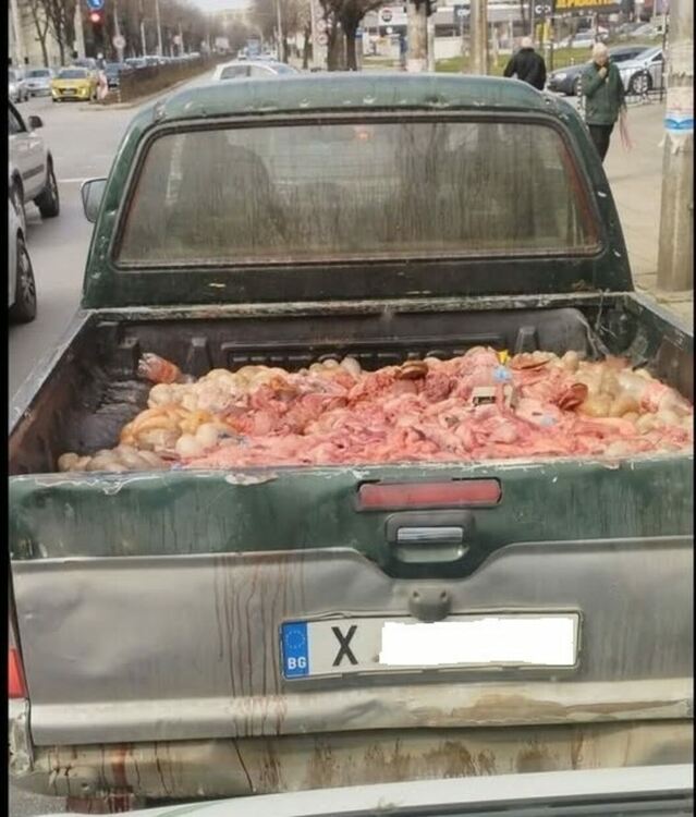 Снимка БХБД (от социални мрежи)