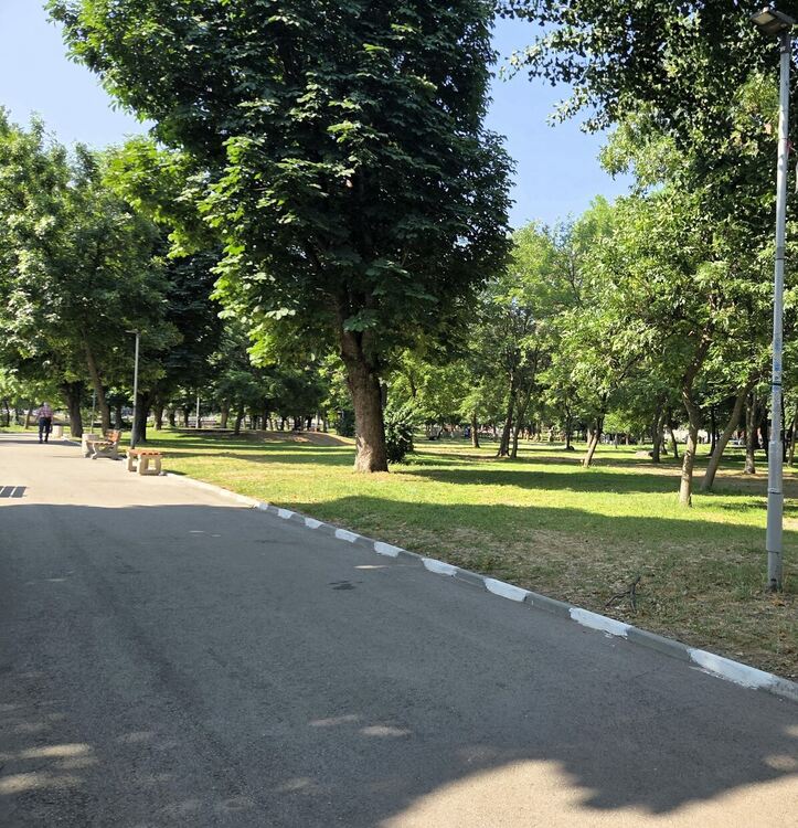 Започва пръскането срещу кърлежи в Асеновград 