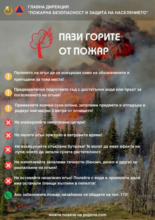 Отбелязваме "Седмица на гората"