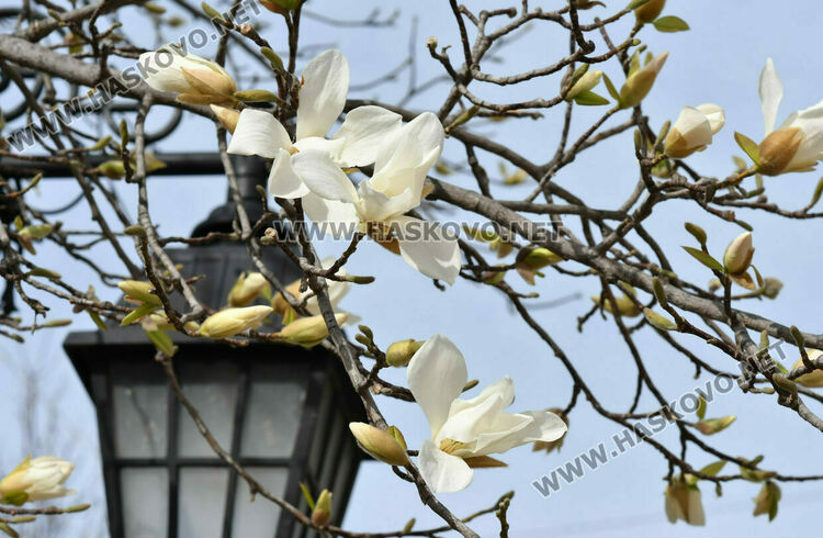 Слънце и облаци се редуват на Велики вторник