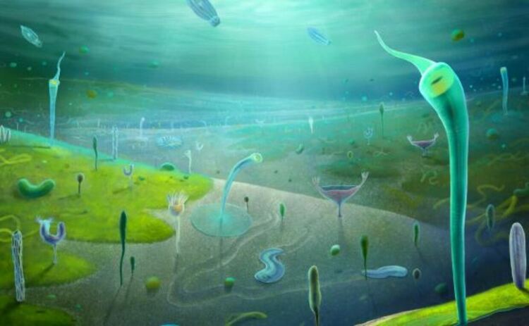 Реконструкция на биотата на Дзянчуан (преди ~554-539 милиона години).