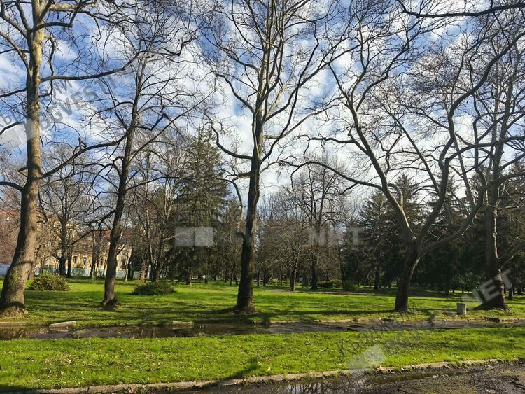 Променлива облачност,ветровито днес в Кърджали