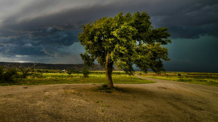 Жълт код за силен вятър в сряда