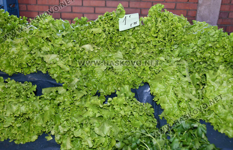 Драстичен скок в цената на доматите в Хасково 