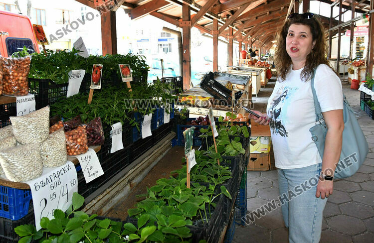 Драстичен скок в цената на доматите в Хасково 