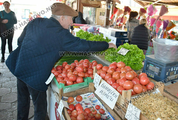 Драстичен скок в цената на доматите в Хасково 