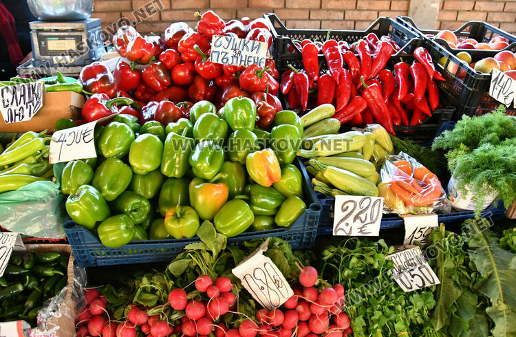 Драстичен скок в цената на доматите в Хасково 