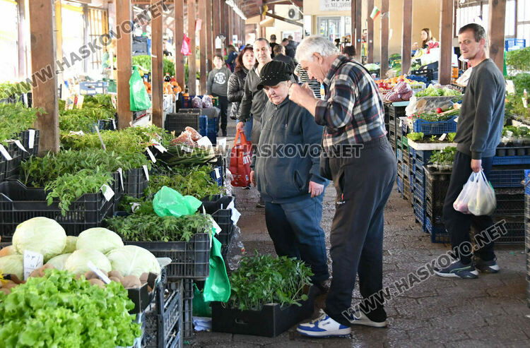 Драстичен скок в цената на доматите в Хасково 