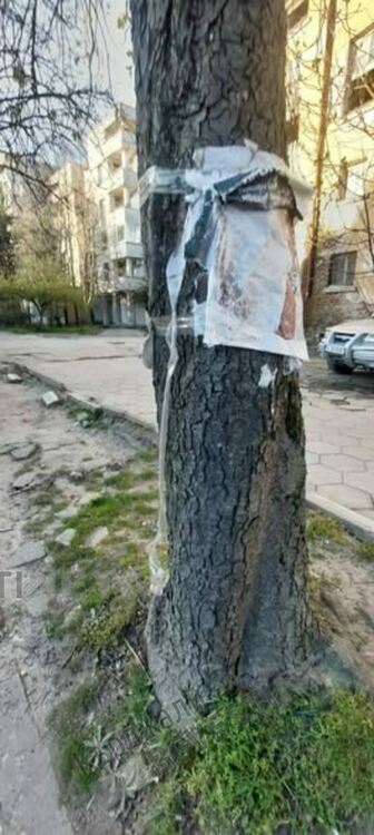 Отново ни навират предизборни плакати под носа,лепят навсякъде