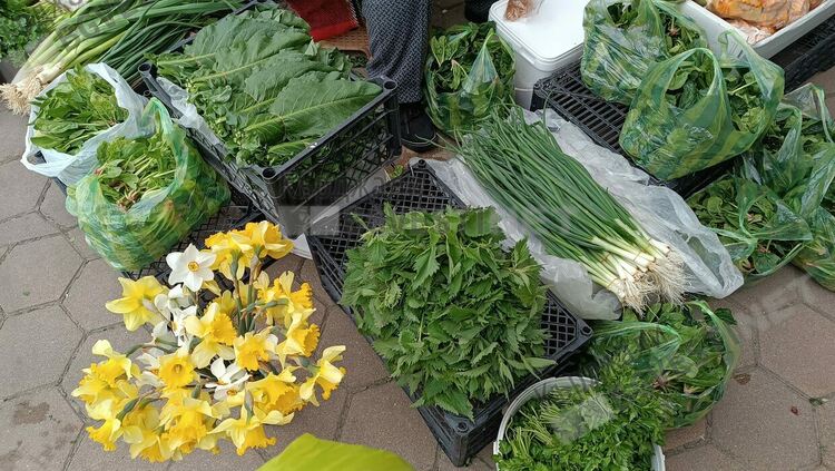 Великден е!И тази година се &bdquo;хванахме за зелено&ldquo;