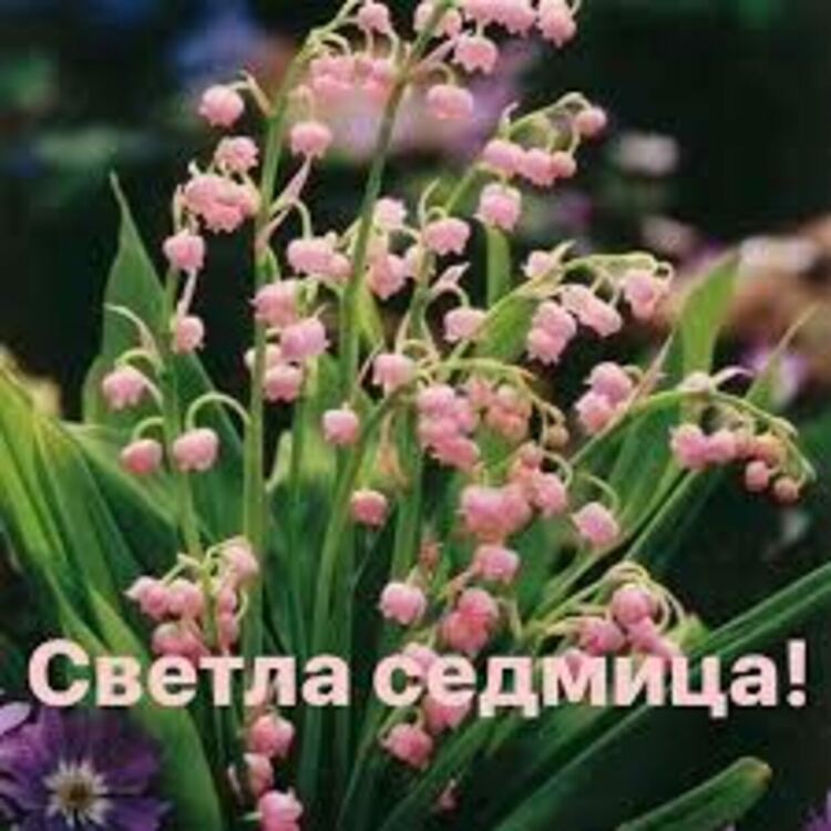 Започва Светлата седмица &ndash; най-радостният период в християнския календар