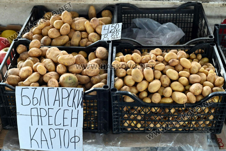 Пресните картофи се преглагат на цени 4,50 евро