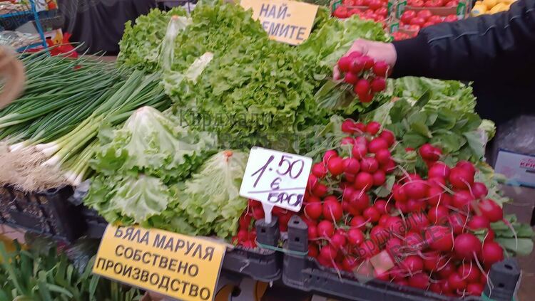 Марулите изчезнаха от Пазара в Кърджали въпреки надутите цени,липсва производство