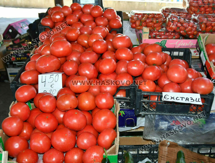 Снимката е илюстративна