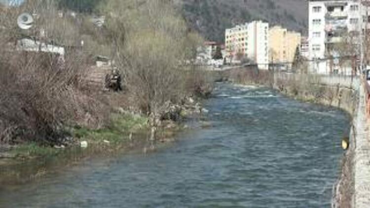 Пожарникари спасиха сърна паднала в коритото на река Черна