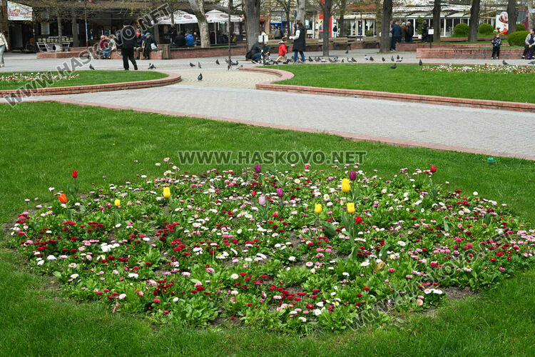 Слънчево над страната, слаб дъжд в планините