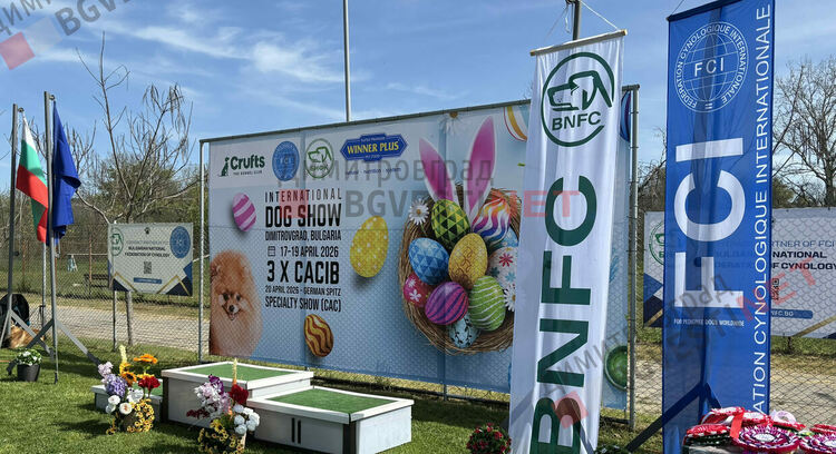 Над 1600 кучета и гости от цяла Европа: Димитровград е домакин на най-голямата международна киноложка изложба