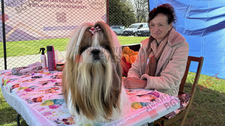 Над 1600 кучета и гости от цяла Европа: Димитровград е домакин на най-голямата международна киноложка изложба