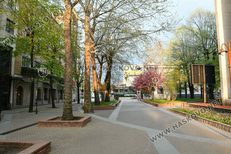 Проблеми с над 10 машини и неявили се членове на комисии белязаха старта на вота в Хасково