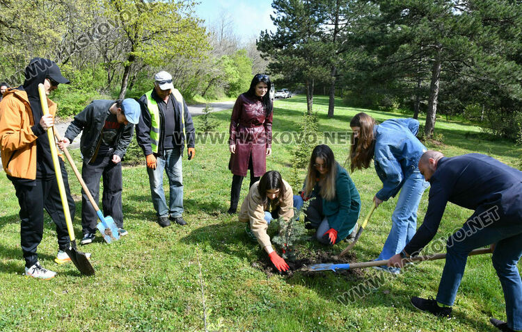 Млади лауреати от &bdquo;Южна пролет&ldquo; засадиха нов атласки кедър в алеята на талантите в Хасково