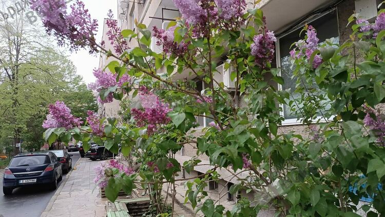 Променлива облачност днес над Кърджали,кратък дъжд