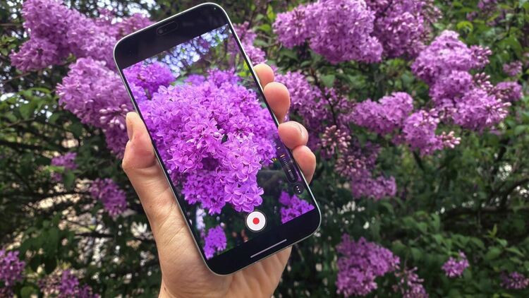 Стил и издръжливост в едно? Отговорът е HONOR 600 Lite