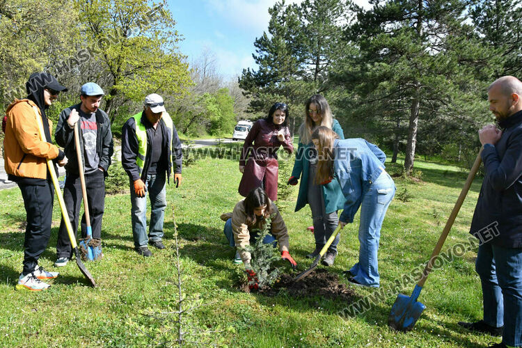 Млади лауреати от &bdquo;Южна пролет&ldquo; засадиха нов атласки кедър в алеята на талантите в Хасково