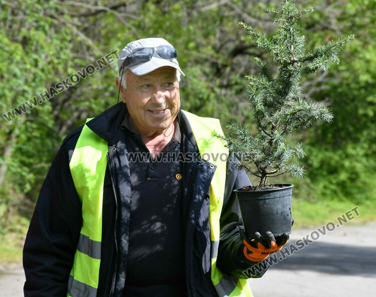 Млади лауреати от &bdquo;Южна пролет&ldquo; засадиха нов атласки кедър в алеята на талантите в Хасково