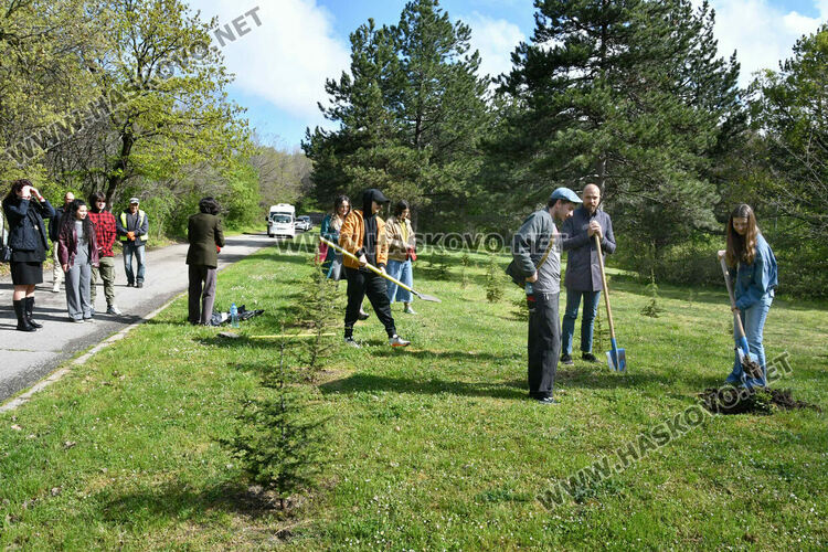 Млади лауреати от &bdquo;Южна пролет&ldquo; засадиха нов атласки кедър в алеята на талантите в Хасково