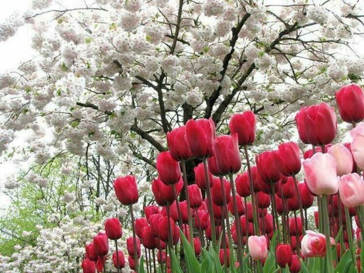 Предимно слънчево време в петък