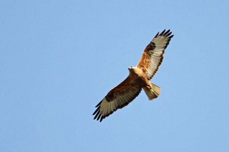 Разширяват обхвата на защитени местности в хасковско