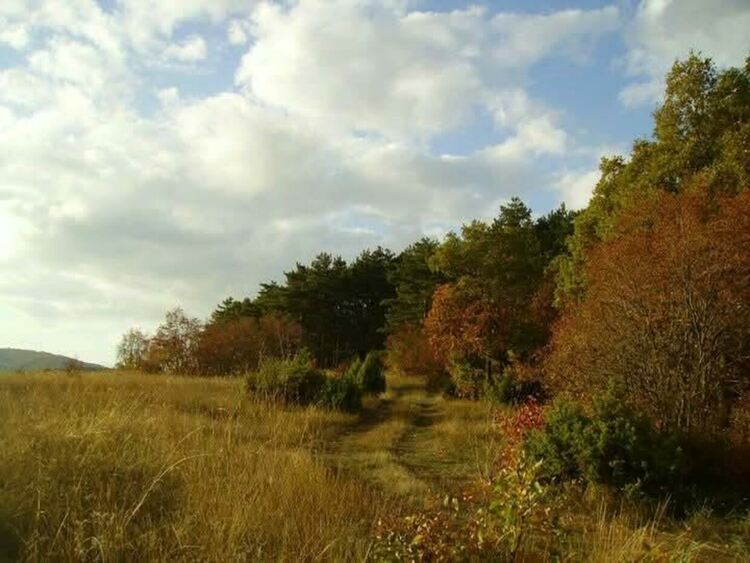 Разширяват обхвата на защитени местности в хасковско